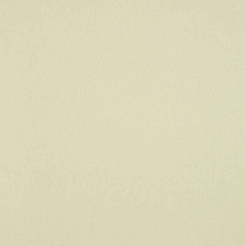 Shimmer #24 Butter