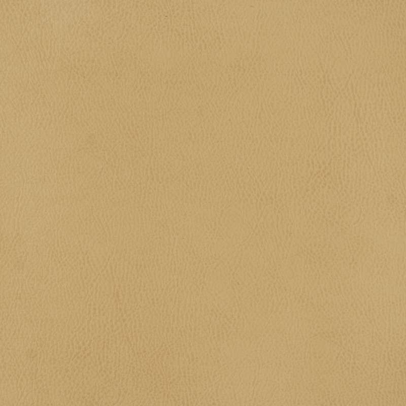 Bronco #1 Wheat