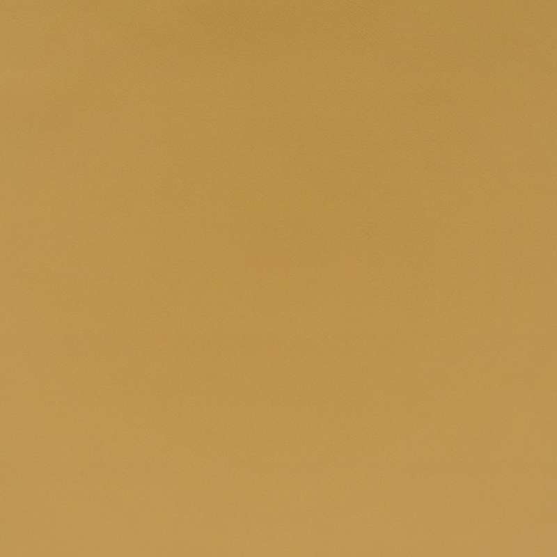 Spectrum #12 Amber