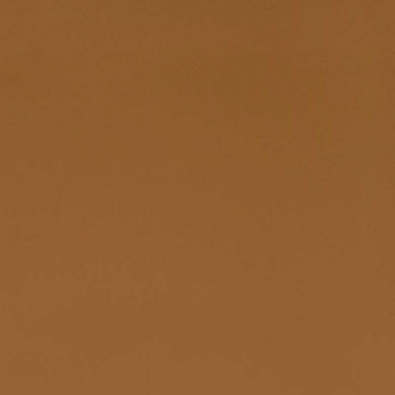 Spectrum #14 Autumn