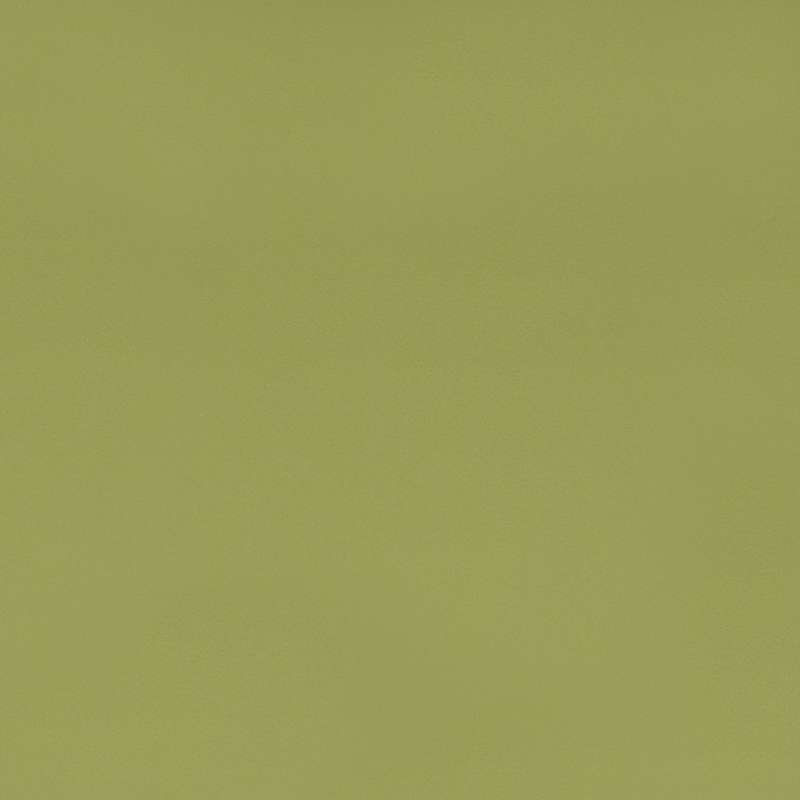 Spectrum #22 Kiwi