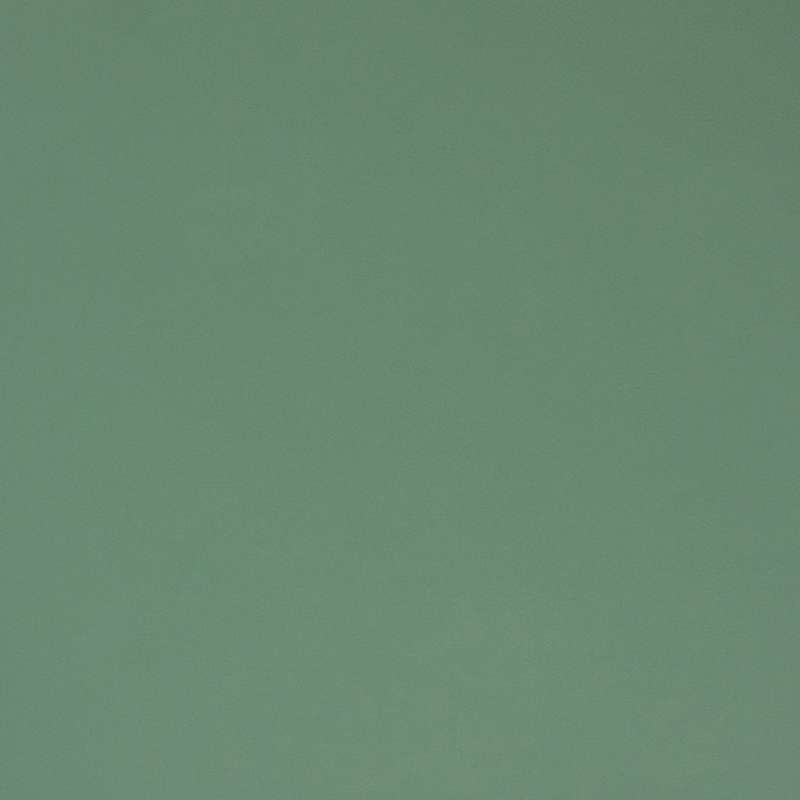 Spectrum #23 Grasshopper