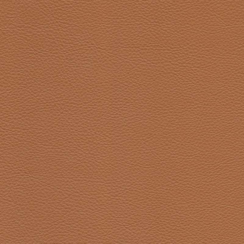 Rodeo 2 #10 Apricot