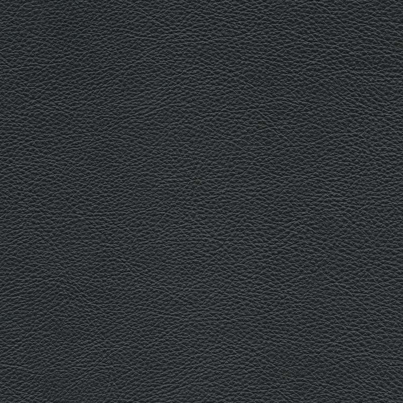 Rodeo 2 #31 Midnight
