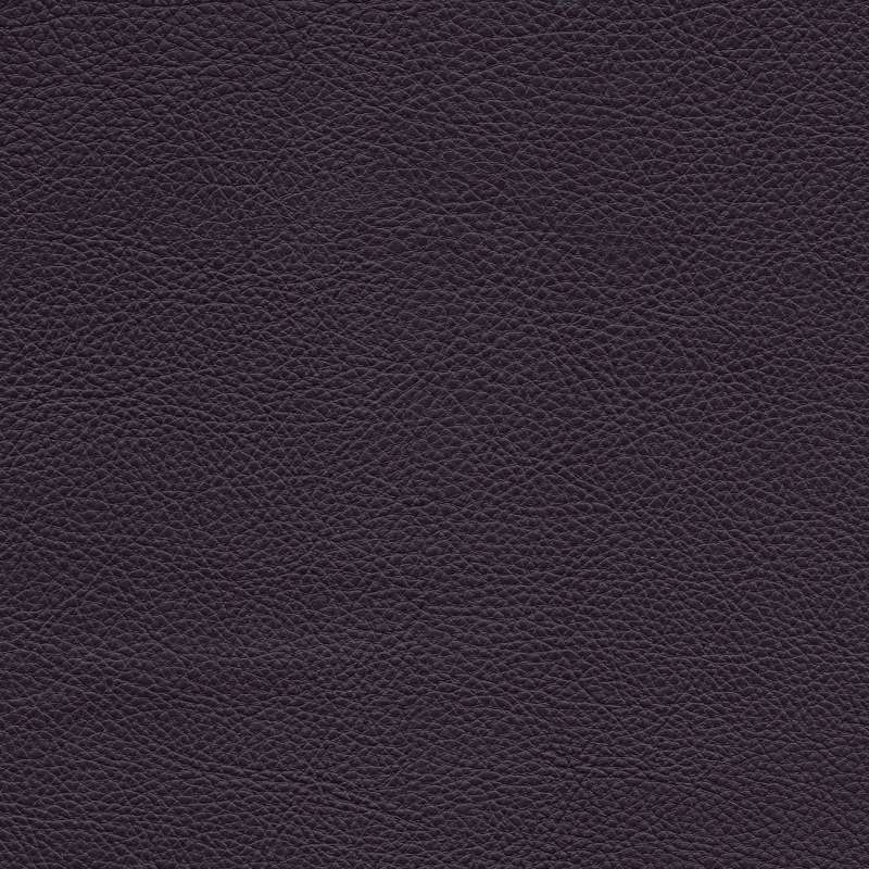 Rodeo 2 #33 Amethyst