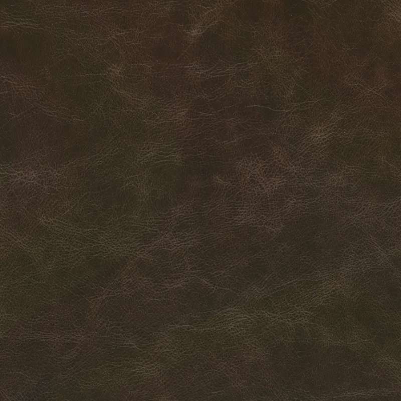 Draft Leather Trace