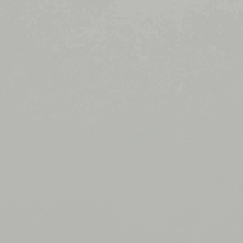 Pace Leather Shy