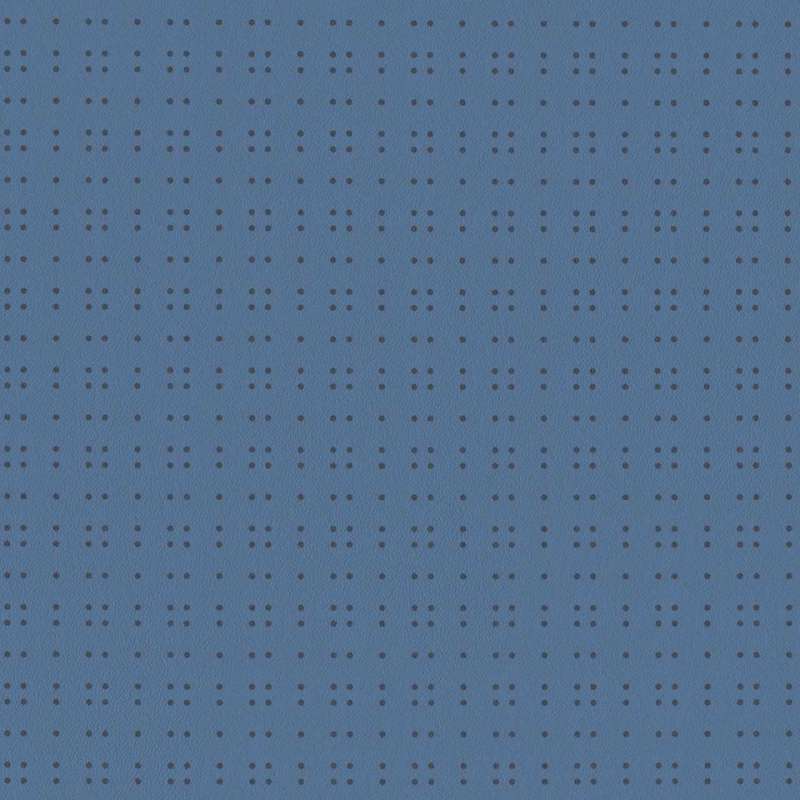 Little Dot Denim