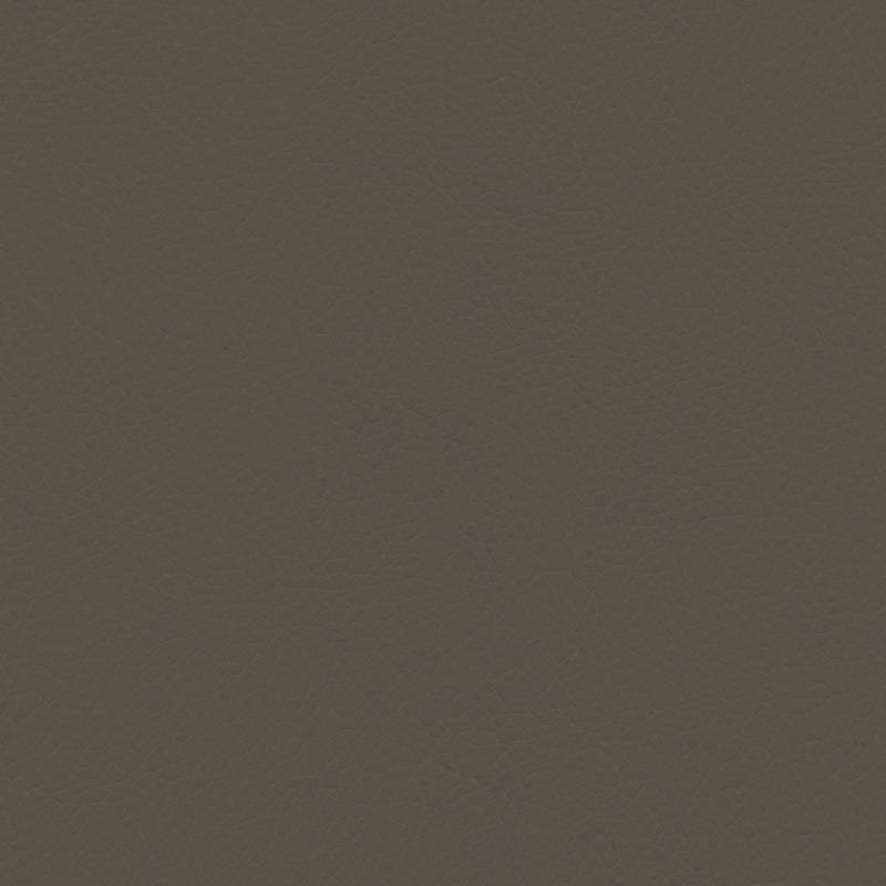 Concept Pro Lentil