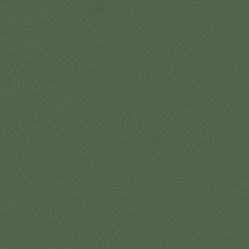 Concept Pro Lawn Green