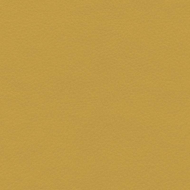 Concept Pro Gold Finch