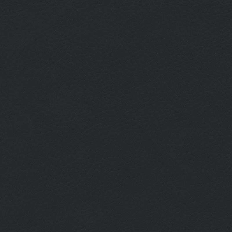 Concept Pro Black Eel