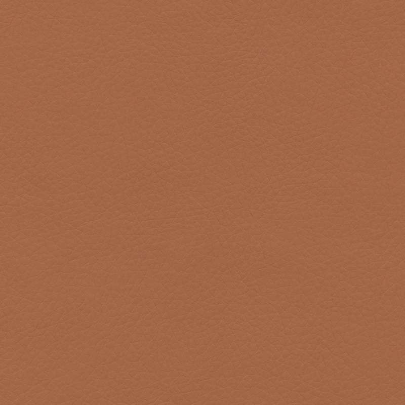 Concept Pro Apricot Ice