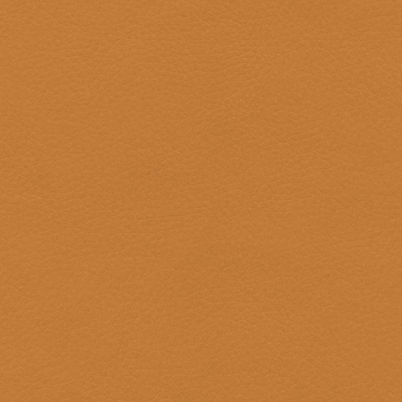 Concept Pro Calendula