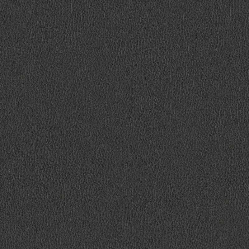 Ethos Shadow