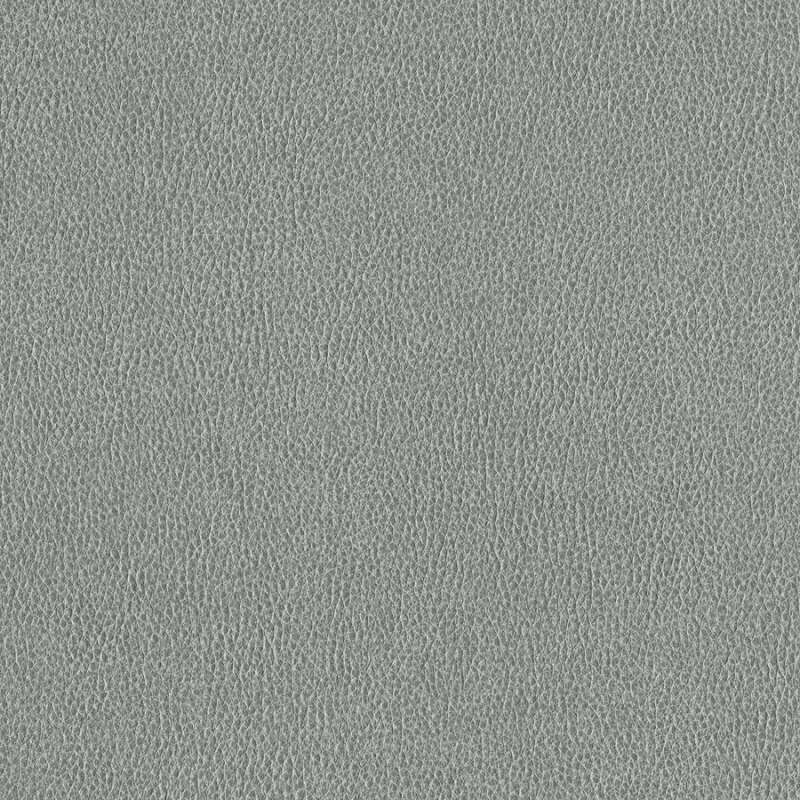 Ethos Mica