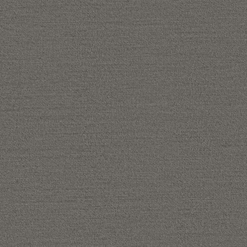 Salsa Charcoal