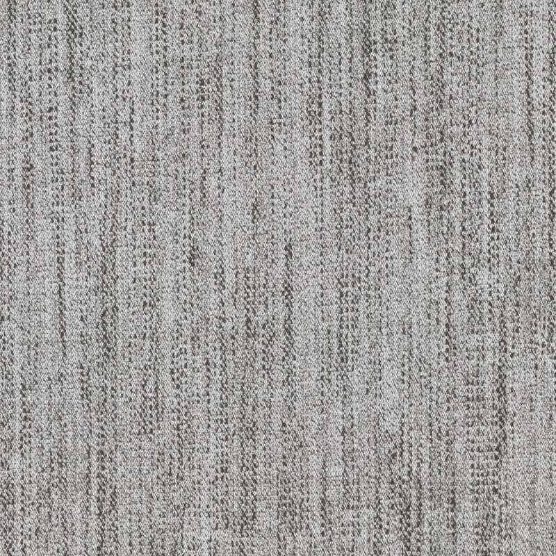 Idle Birch