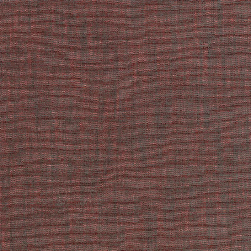 Maple 0562