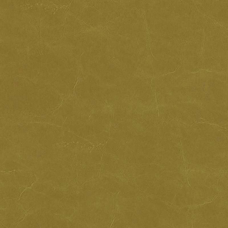 Alcazar Kiwi
