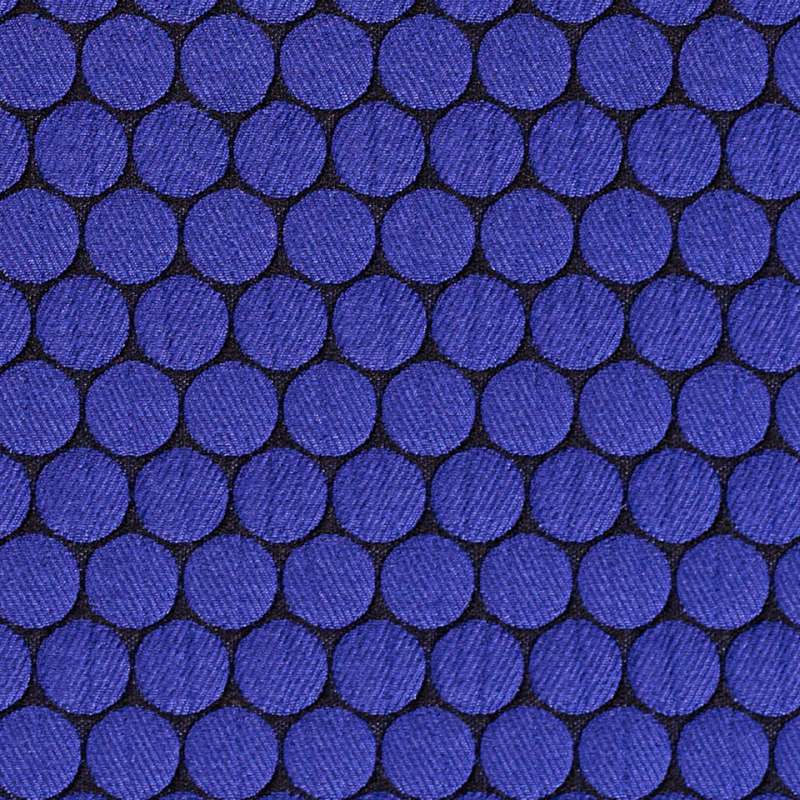 Loop To Loop Blueberry