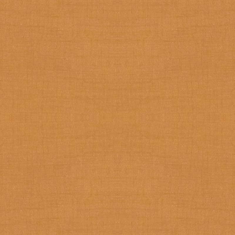 Dynasty #3 Apricot