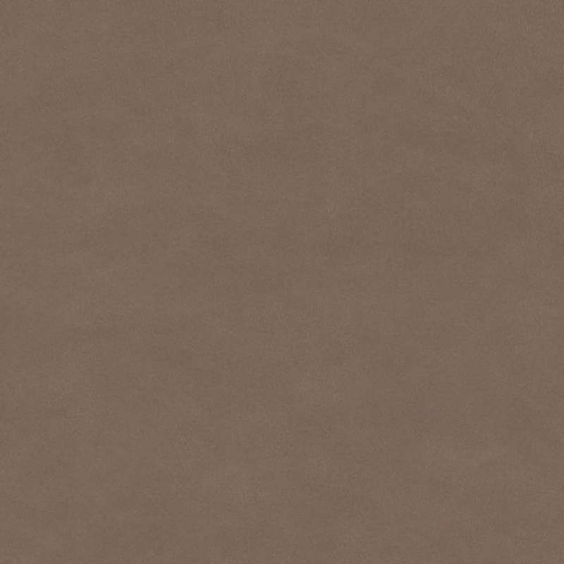Polished #26 Taupe