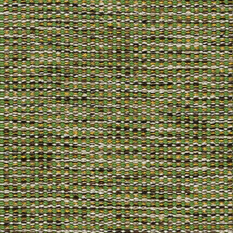 Delphi #8 Grass