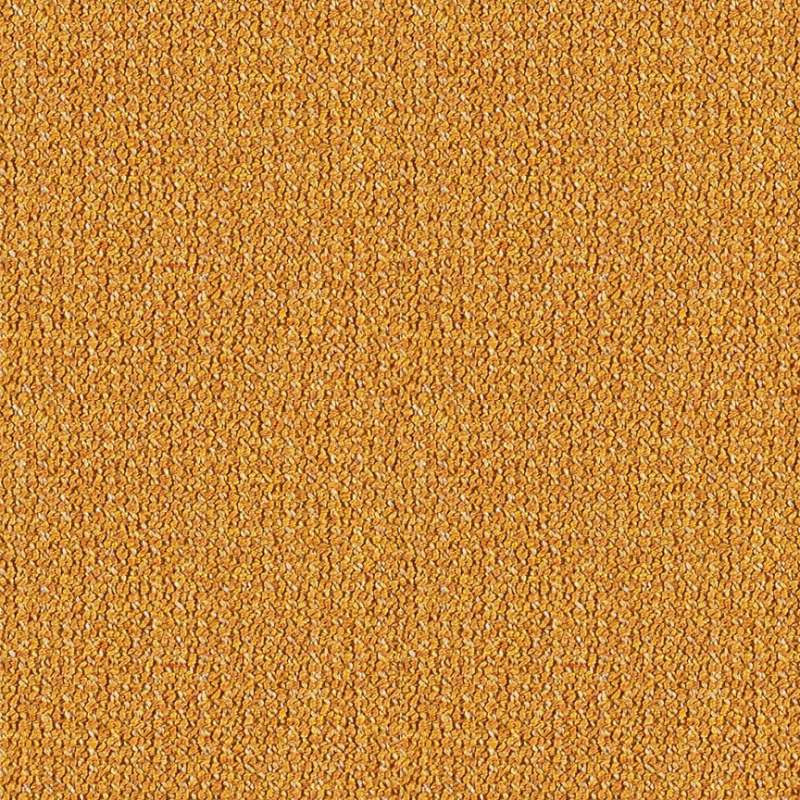Highlands #6 Mustard
