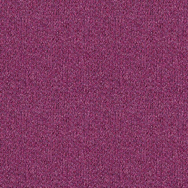 Highlands #9 Amethyst