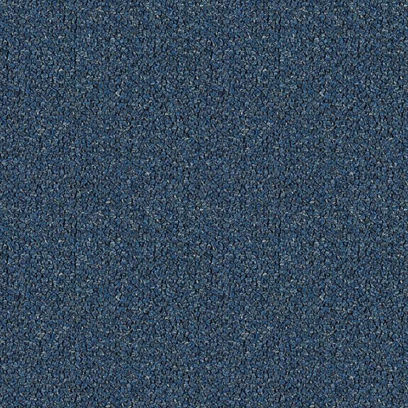 Highlands #12 Blueberry