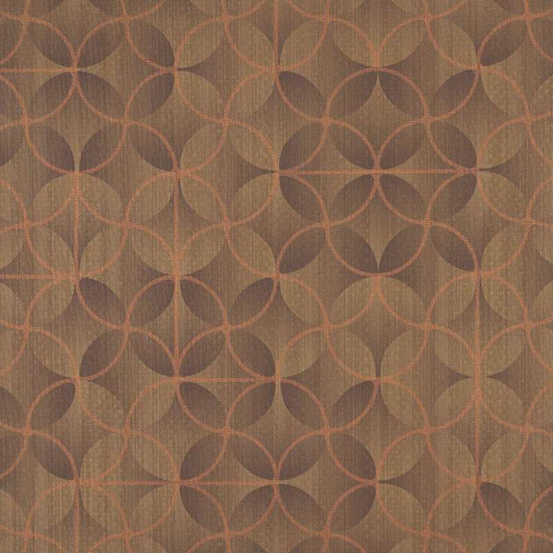 Contour #14 Coffee