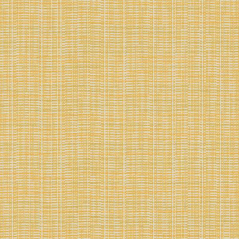 Streamline #7 Turmeric