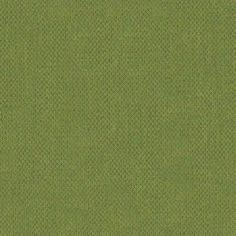 Illusion 2 #12 Grass