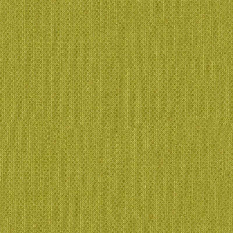 Illusion 2 #15 Kiwi