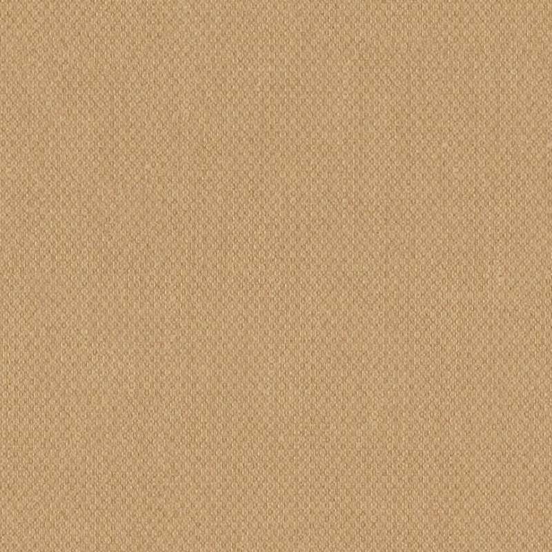 Illusion 2 #17 Latte