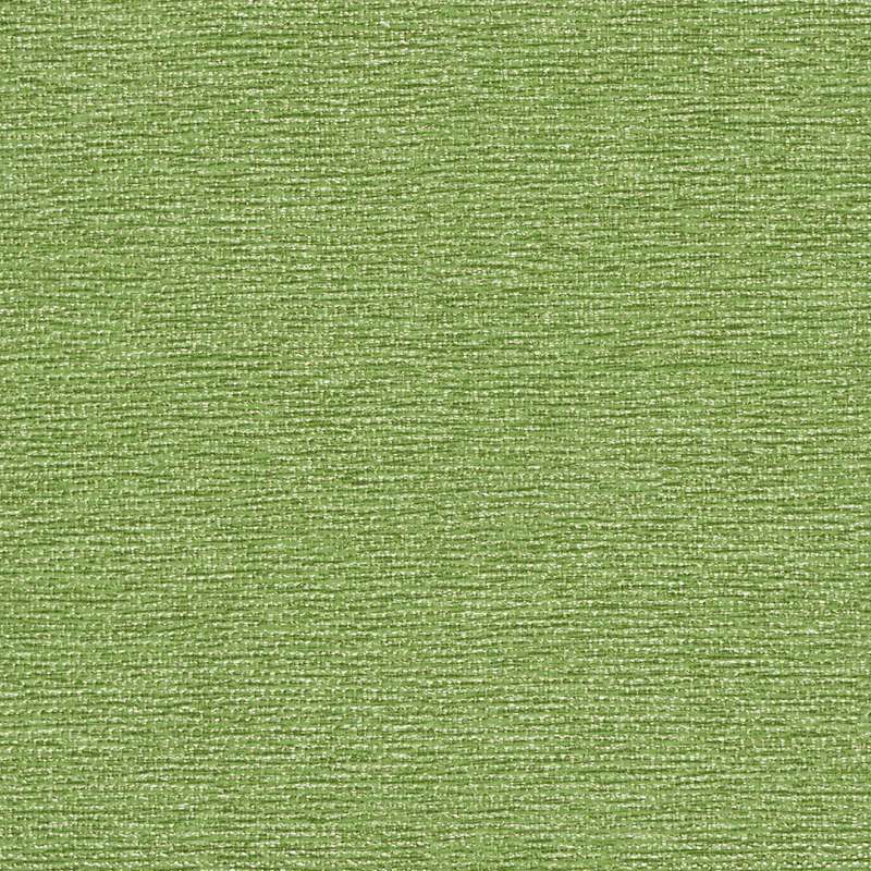 Solitude Kiwi