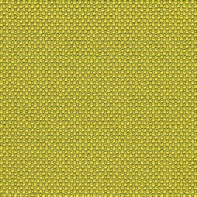Elevado #12 Citron