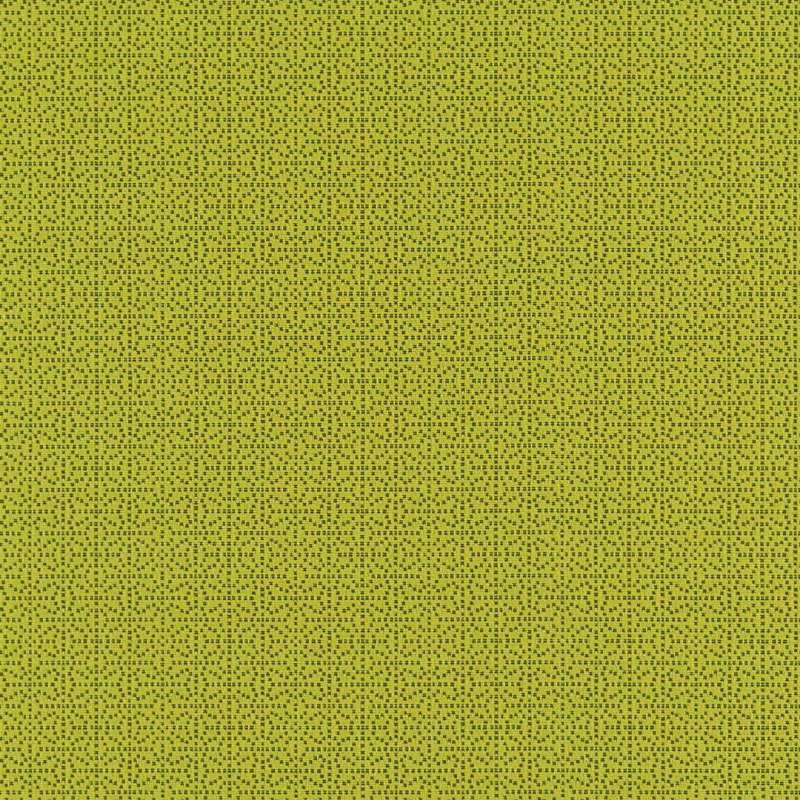 Oculus #3 Kiwi