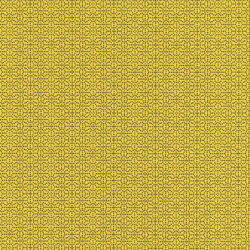 Oculus #4 Citron