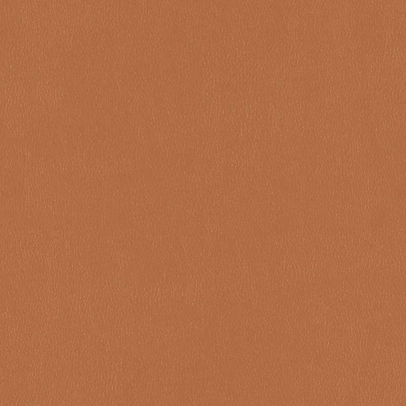 Majorca Hazelnut
