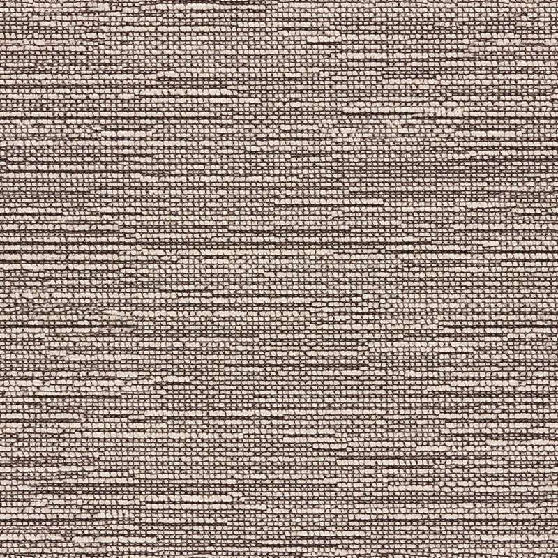 Vivo #5 Ash