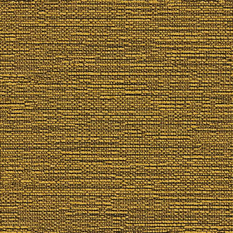 Vivo #16 Avocado