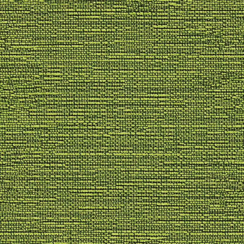 Vivo #18 Grass