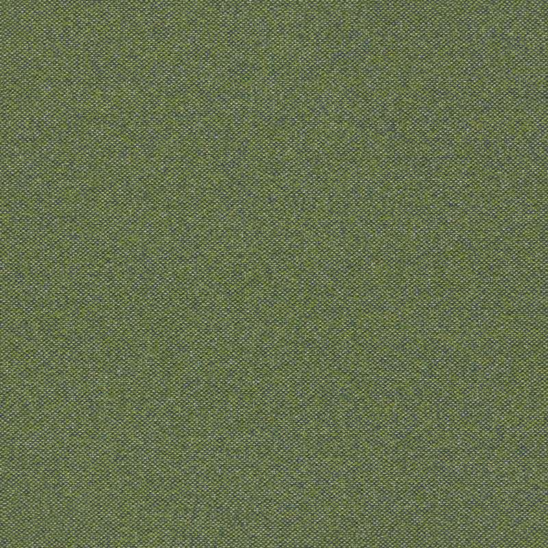 Emerson #21 Grass