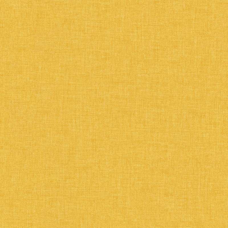 Insight #4 Sunflower
