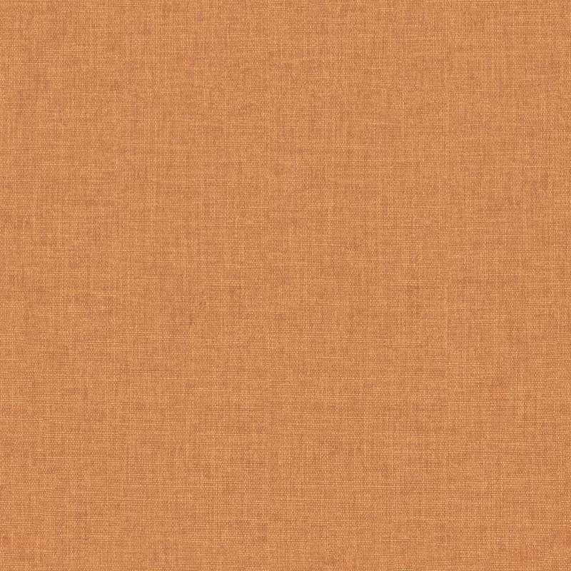 Insight #5 Tangerine