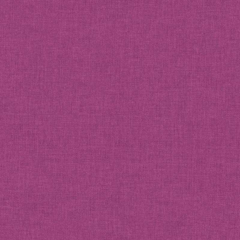 Insight #12 Orchid