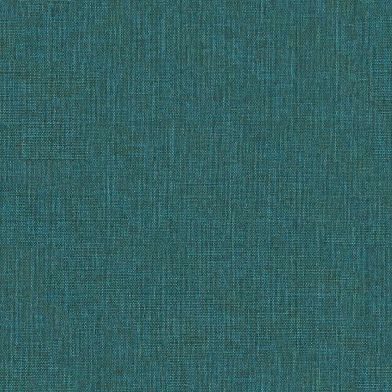 Insight #19 Mallard