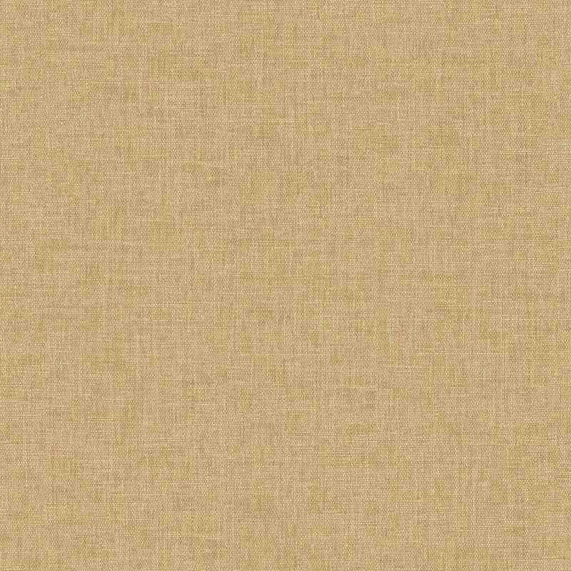 Insight #26 Butterscotch